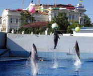 Севастопольский дельфинарий